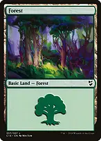 Commander 2018 #307