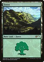 Forest from M19 Standard Showdown