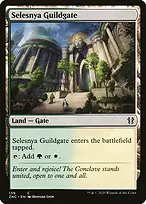 Zendikar Rising Commander #139