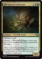 Secrets of Strixhaven #207