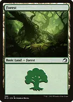 Innistrad: Midnight Hunt #384