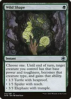 Adventures in the Forgotten Realms #212