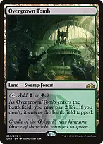 Guilds of Ravnica #253
