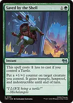 Teenage Mutant Ninja Turtles #132